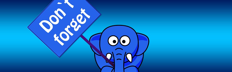 elephant-1090834_960_720